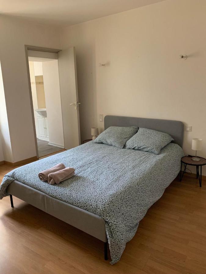 Ravissant Appartement T3 Hypercentre De Mazamet Exteriér fotografie